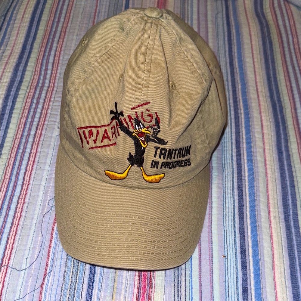 • Vintage 1997 Warner Bros Hat